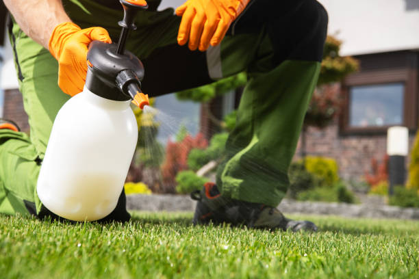 Trusted Lake Arrowhead, ME Pest Control Experts